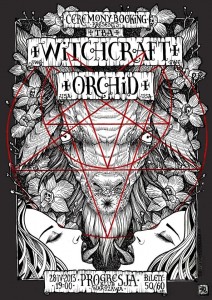 2804-Witchcraft-Orchid